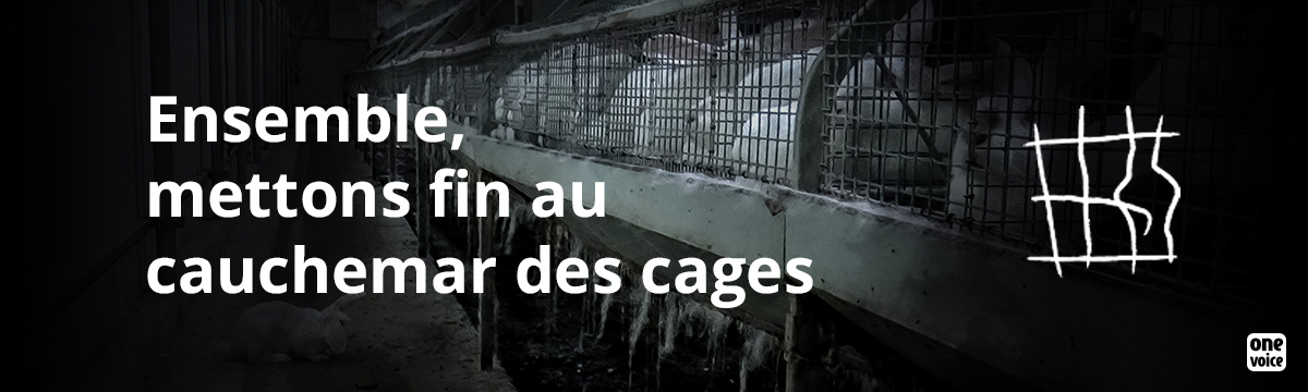 Let's move towards an era definitely without cages!