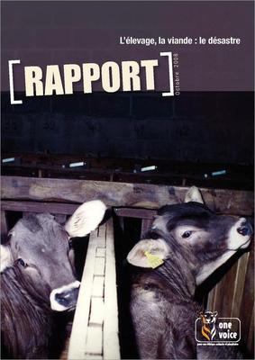 Rapport: l'élevage, la viande, le désastre