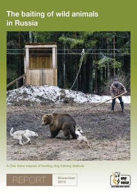 The baiting of wild animals in Russia