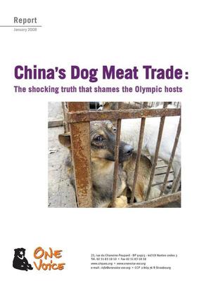 China's Dog Meat Trade