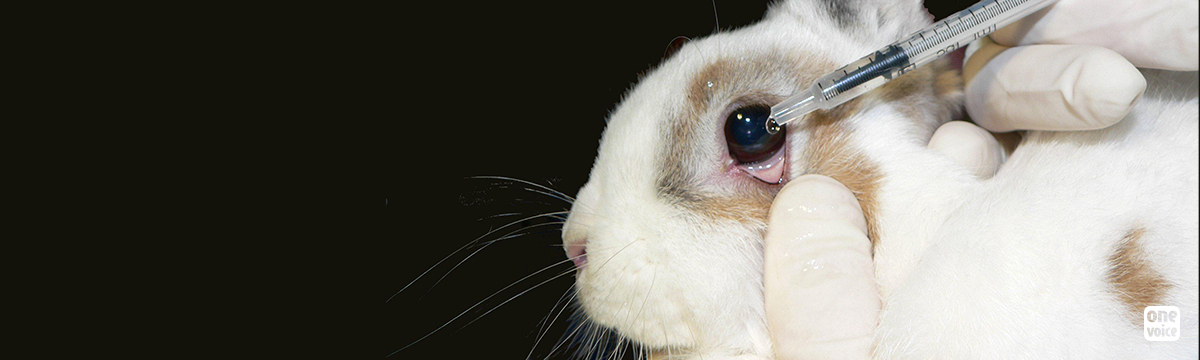 Tests sur les animaux pour les cosmétiques : One Voice remonte au front