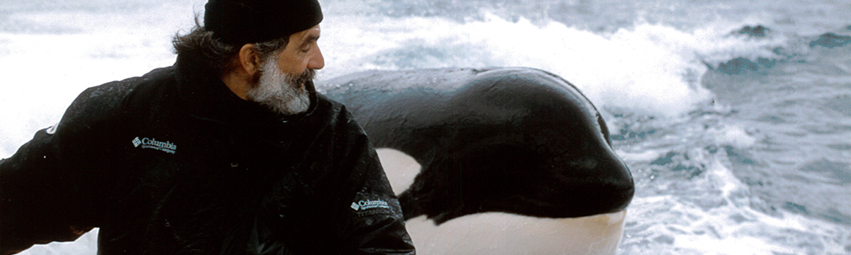 Charles Vinick, a man doing his bit for orcas