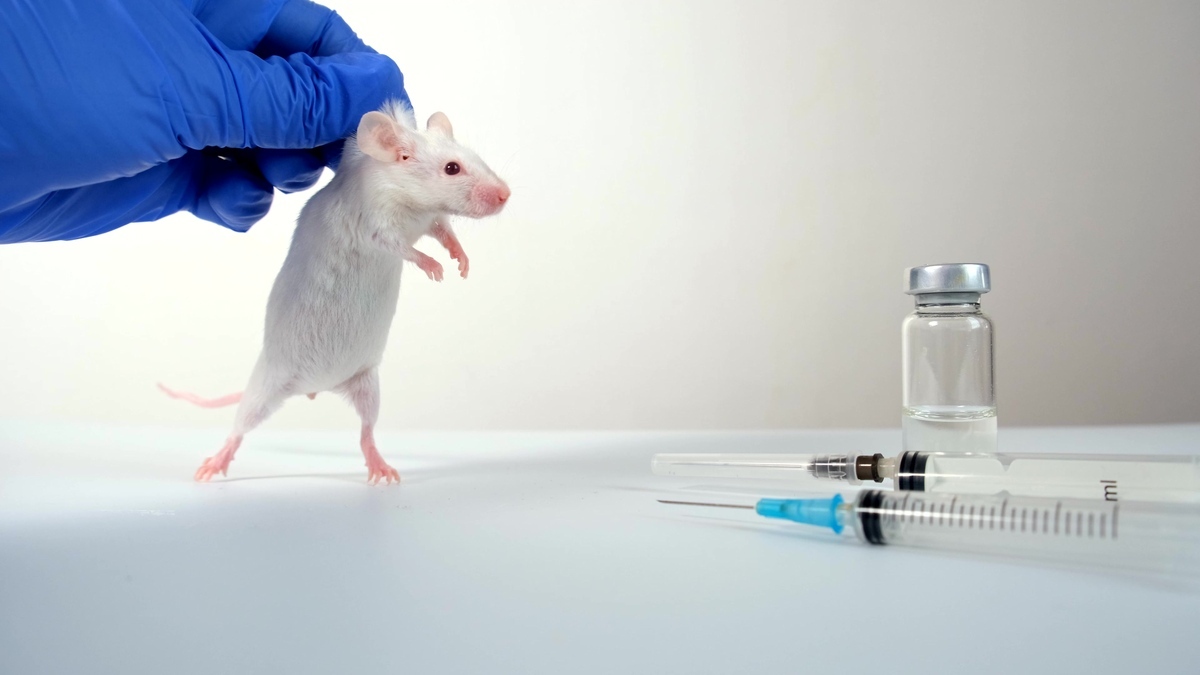 Week of action across Europe against cruel botox tests on mice despite animal-free tests being available for 10 years