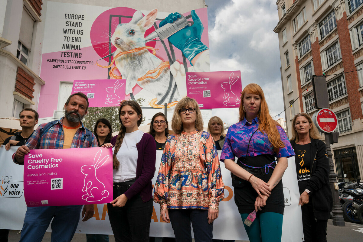 ECI launch. One Voice Paris (with from left to right on the first row: André Sand (The Body Shop France), Lucila San Martin (The Body Shop UK), Muriel Arnal (One Voice) et Nina Valkhoff (painter of the mural).)