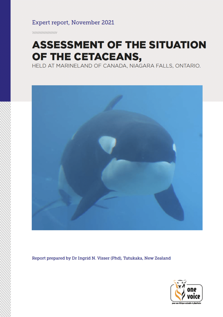 Assessment of the situation of the cetaceans, held at MarineLand of Canada, Niagara Falls, Ontario.