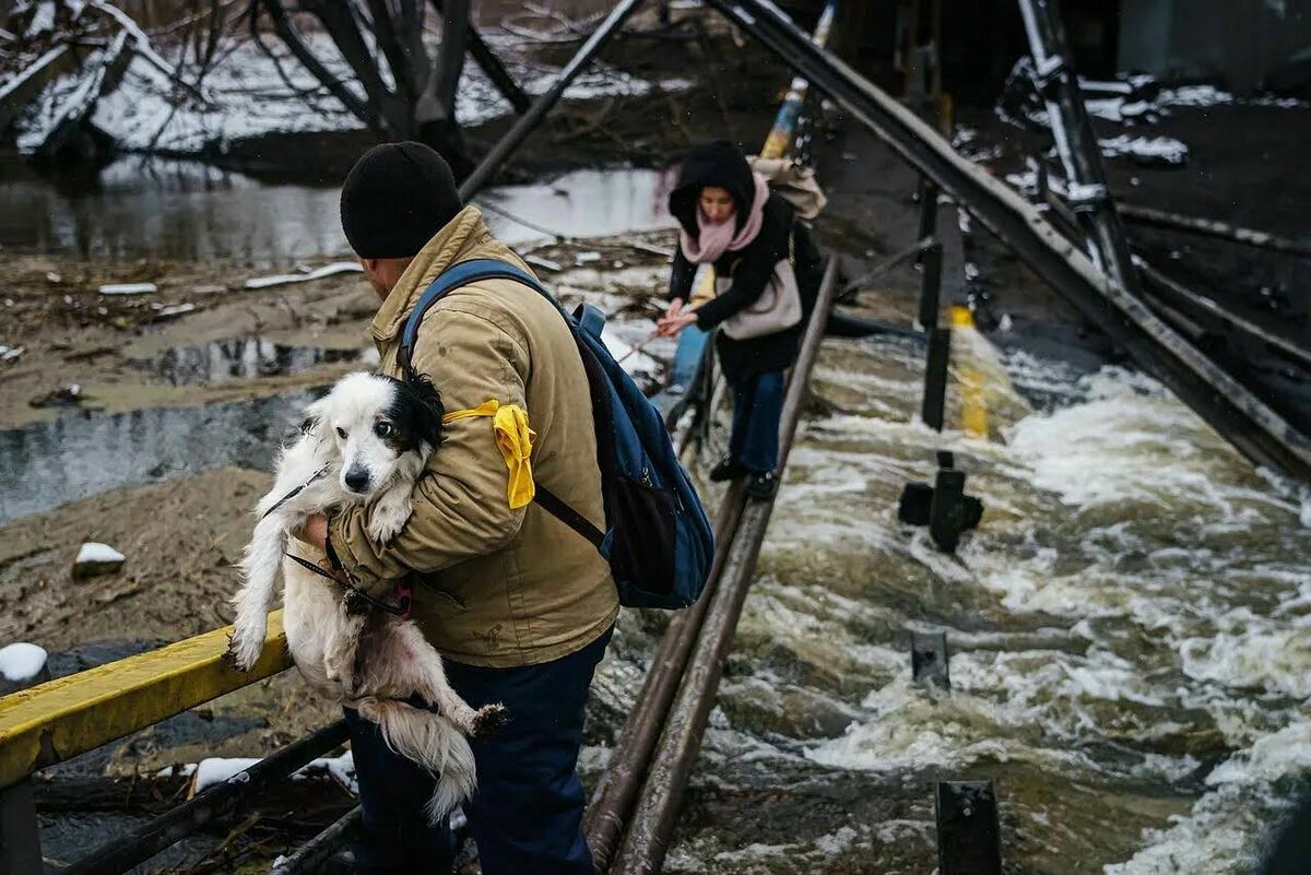 SOS pour les animaux d’Ukraine