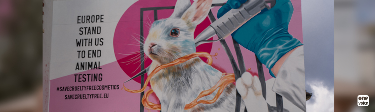 One month left to call for a Europe without animal testing