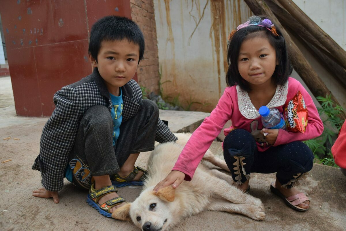 Protection des animaux en Chine : sensibiliser dès le plus jeune âge