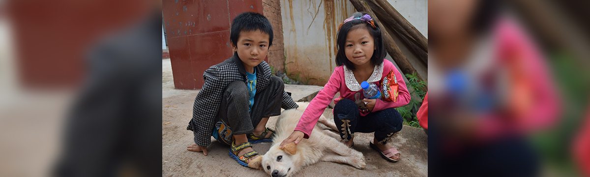 Protection for animals in China: raise awareness from an early age
