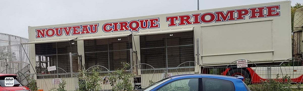 Nouveau Cirque Triomphe : One Voice contre Gougeon et Mordon au tribunal de Bourgoin-Jallieu ce 16 janvier