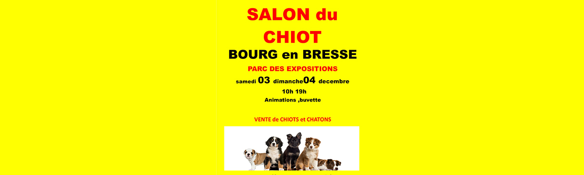 Puppy show in Bourg-en-Bresse: an open letter to Town Mayor Jean-François Debat