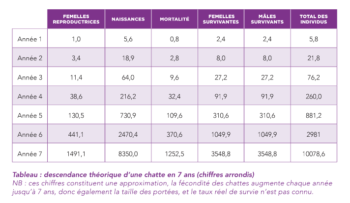 Tableau extrait de notre rapport d'études « Chats errants en France : état des lieux, problématiques et solutions ».