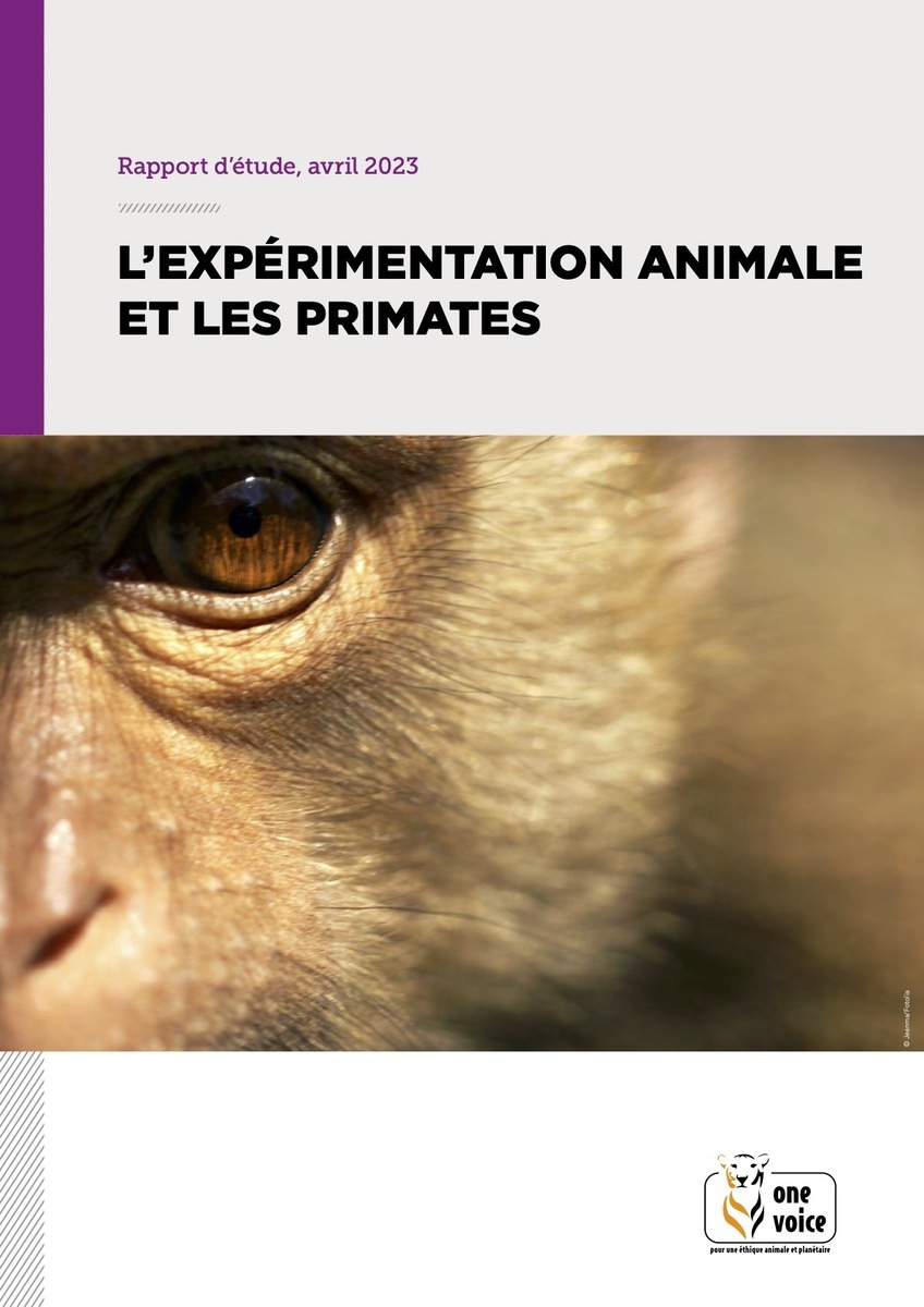 L'expérimentation animale et les primates