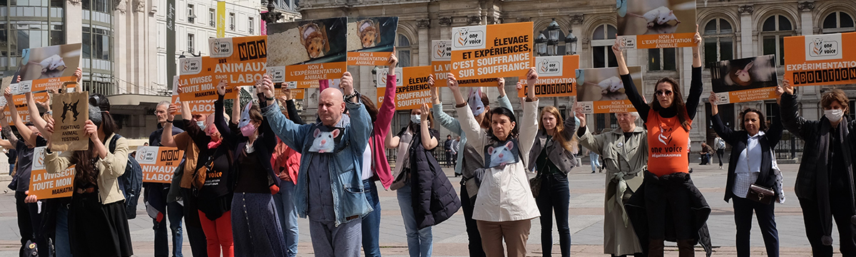 One Voice mobilisée partout en France, autour de la Journée mondiale des animaux dans les laboratoires !