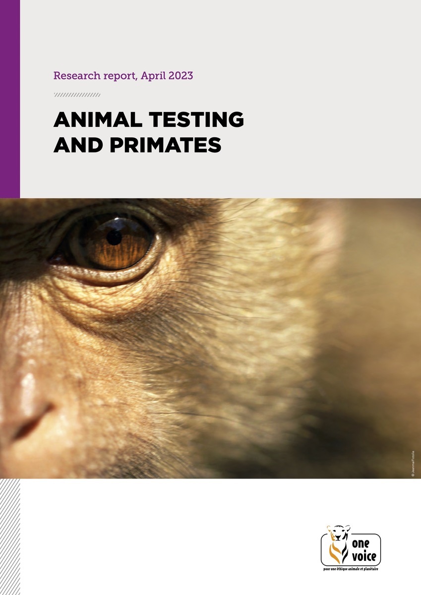 Animal testing and primates