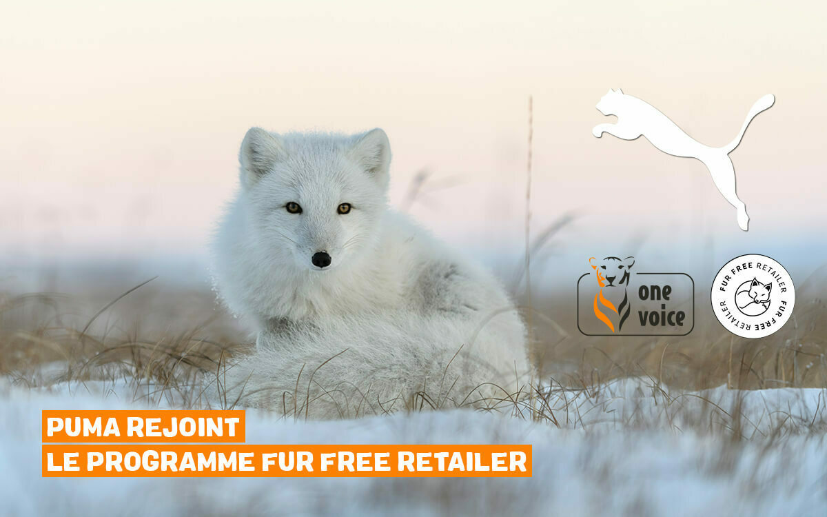 PUMA rejoint le programme Fur Free Retailer