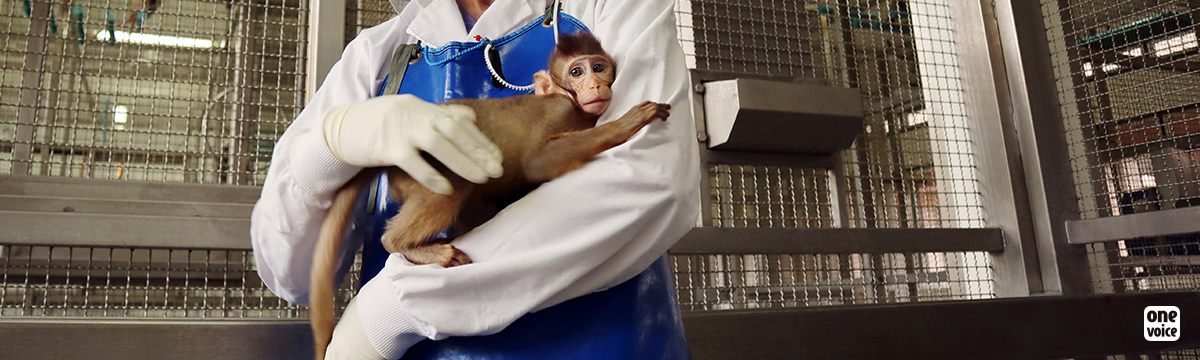 In the United States, animal testing laboratories will finance alternative methods