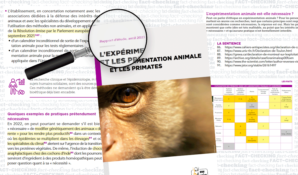 Le Gircor, lobby de l’expérimentation animale, n’aime pas notre rapport sur les primates