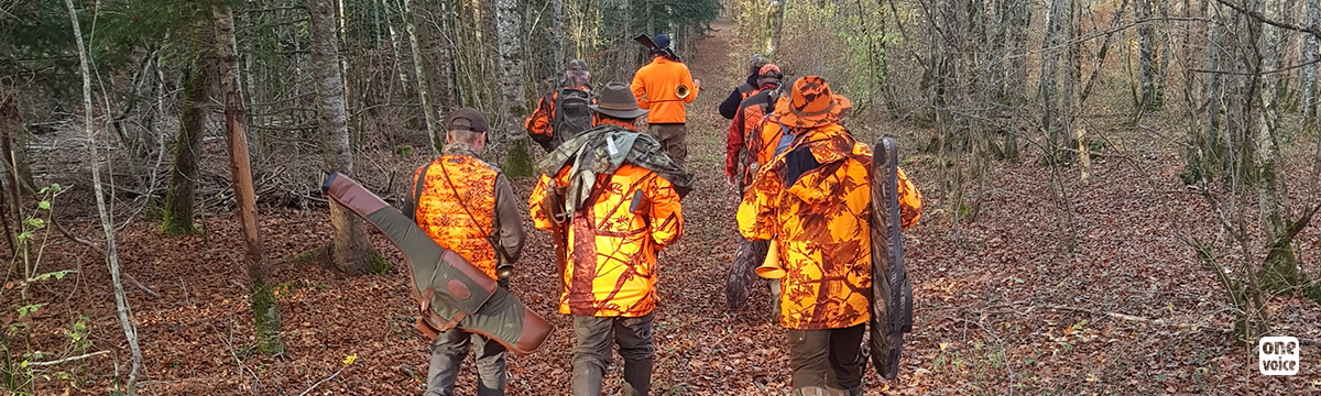 Hunting during lockdown: special privileges for hunters were illegal