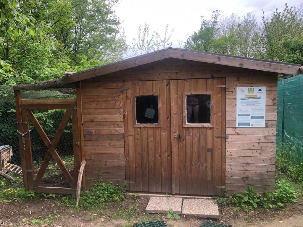 Official opening of the Chatipi to help stray cats in Marly-le-Roi on 8 July at 11am
