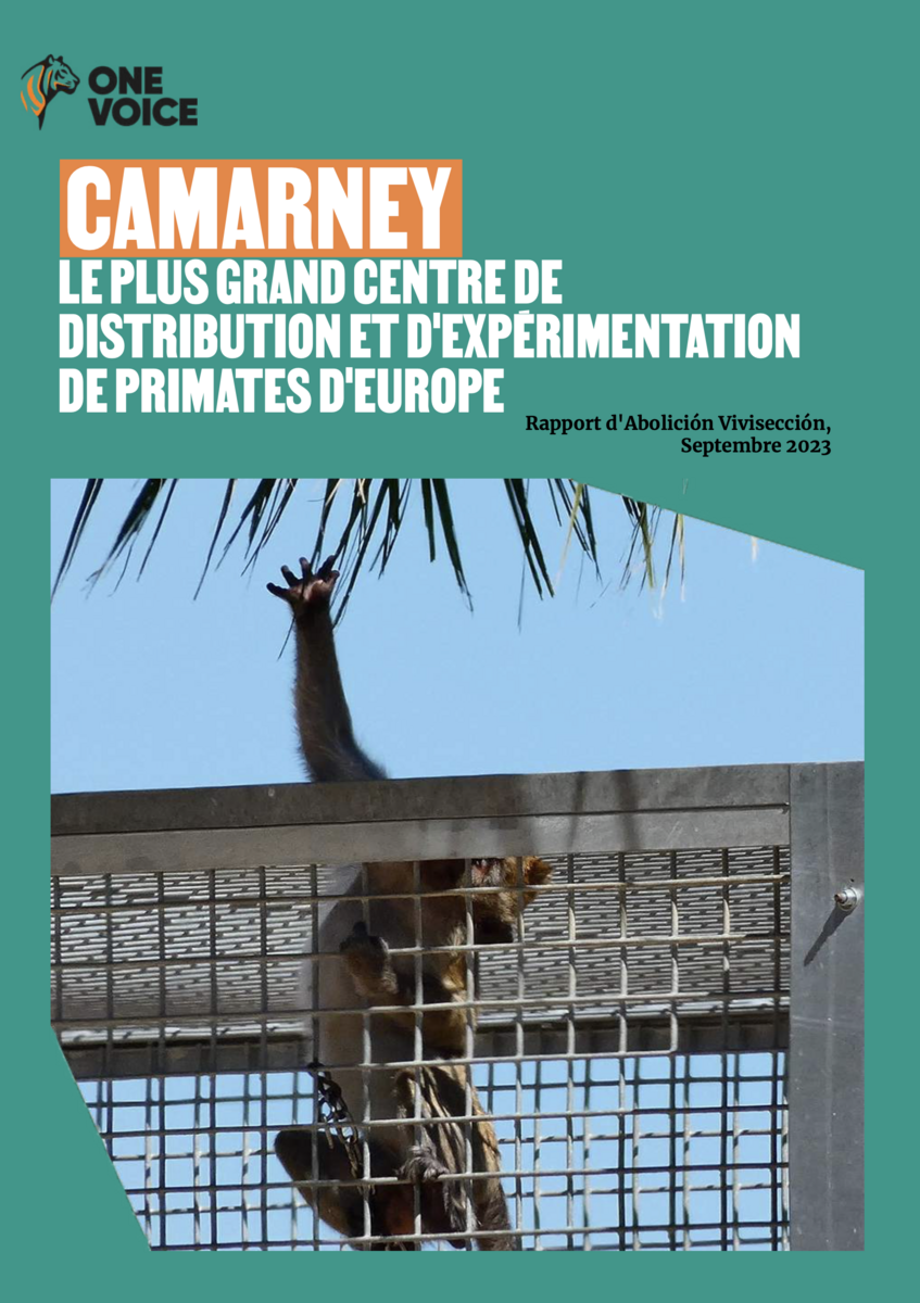 Camarney, le plus grand centre de distribution et d'expérimentation de primates d'Europe