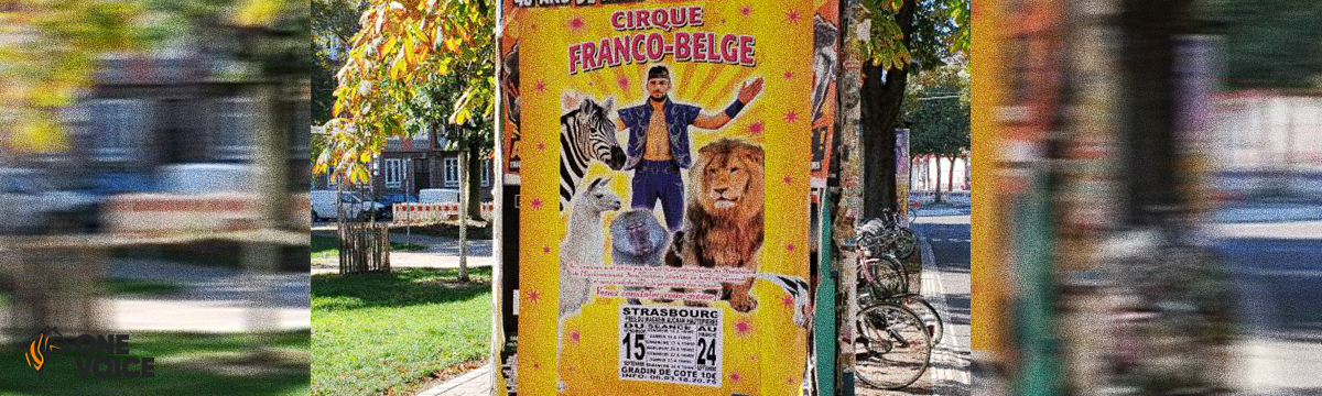 Nous défendrons les animaux du Cirque Franco-Belge devant la justice.